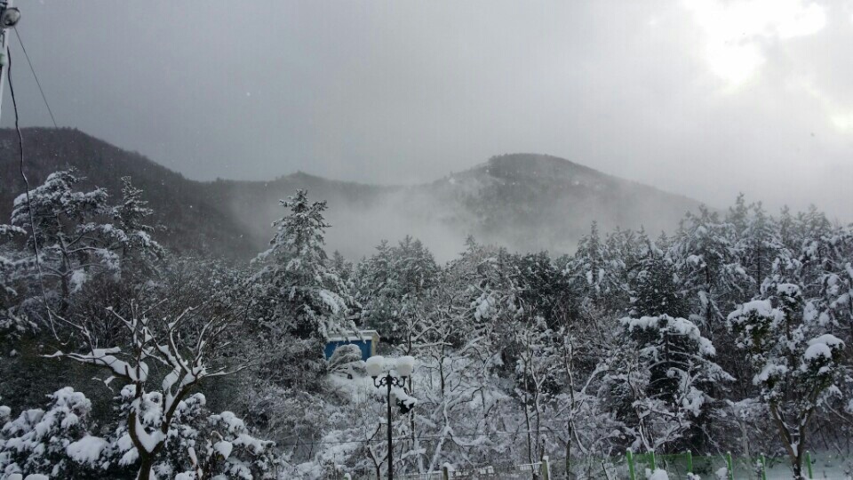 KakaoTalk_20141217_145443506.jpg