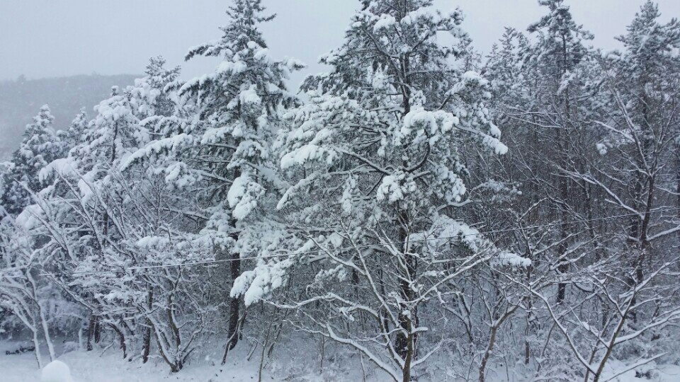 KakaoTalk_20141217_122042640.jpg