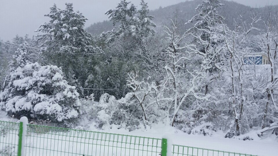 KakaoTalk_20141217_122042923.jpg