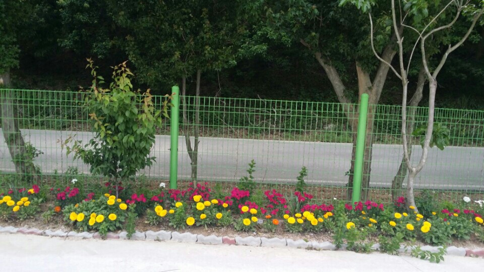 KakaoTalk_20150515_175335416.jpg