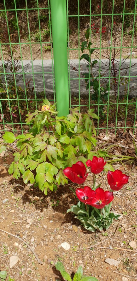 KakaoTalk_20180620_144938177.jpg