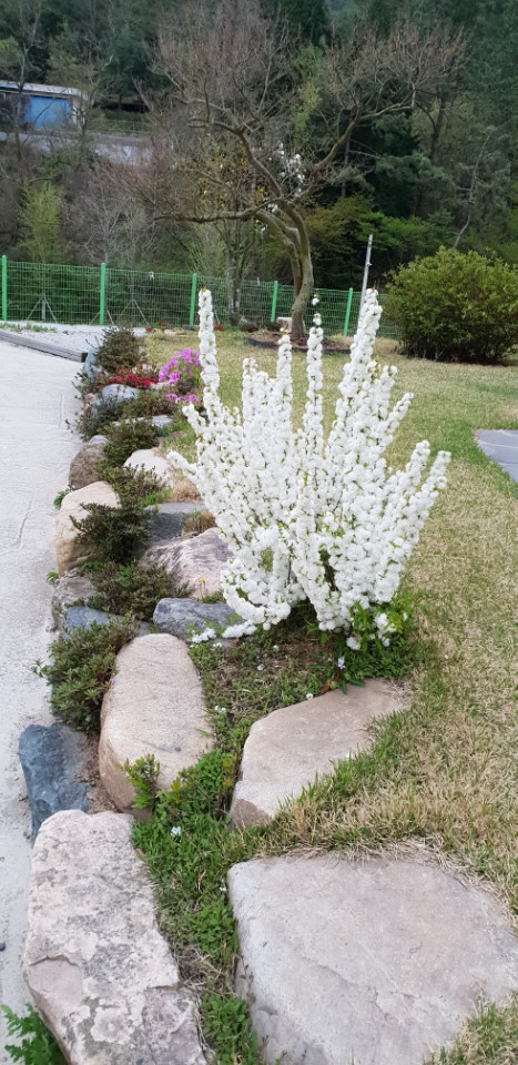 KakaoTalk_20180620_144940103.jpg