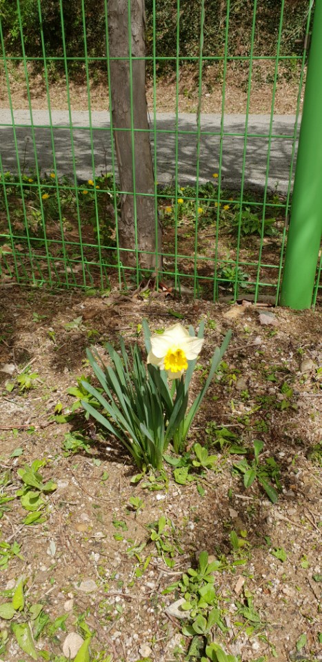 KakaoTalk_20180620_144937286.jpg