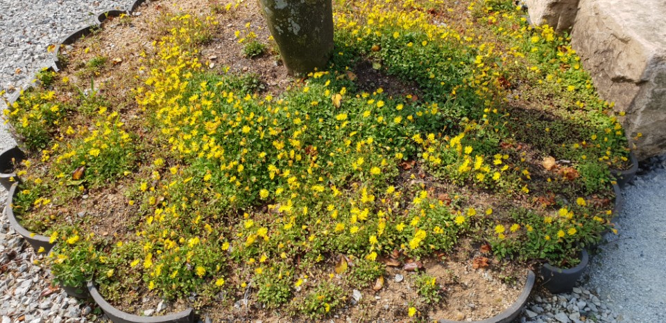 KakaoTalk_20180620_144936522.jpg