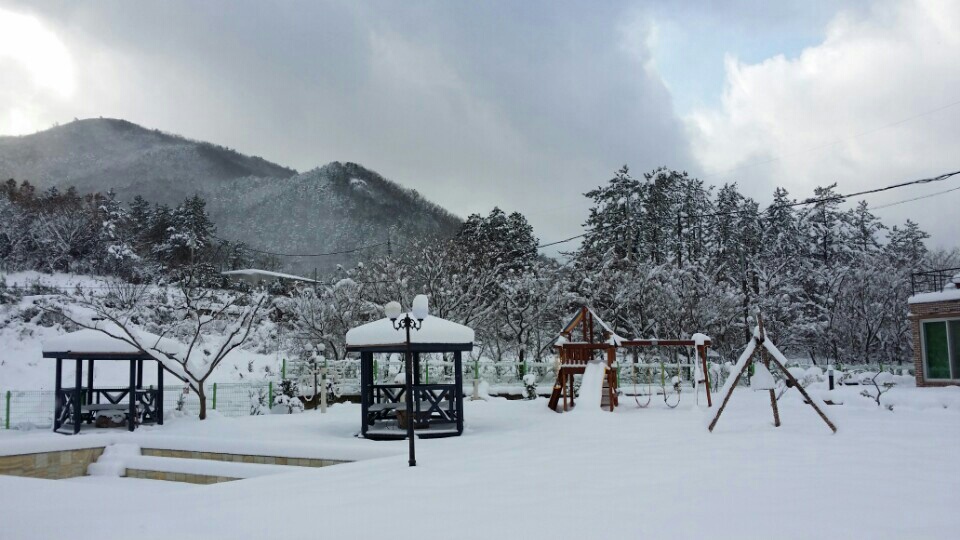 KakaoTalk_20141217_145441859.jpg
